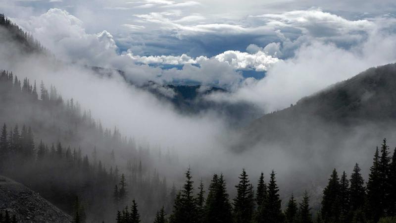 Featured image for Botclaw Net article