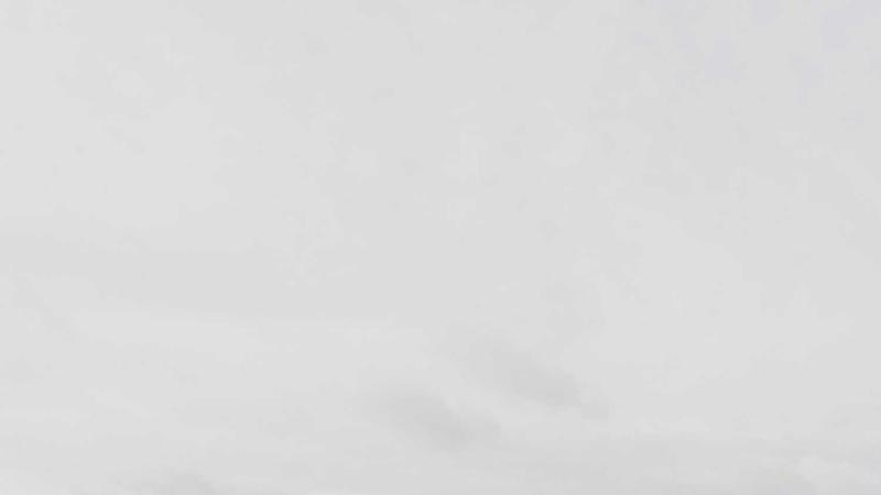 Featured image for Botclaw Net article