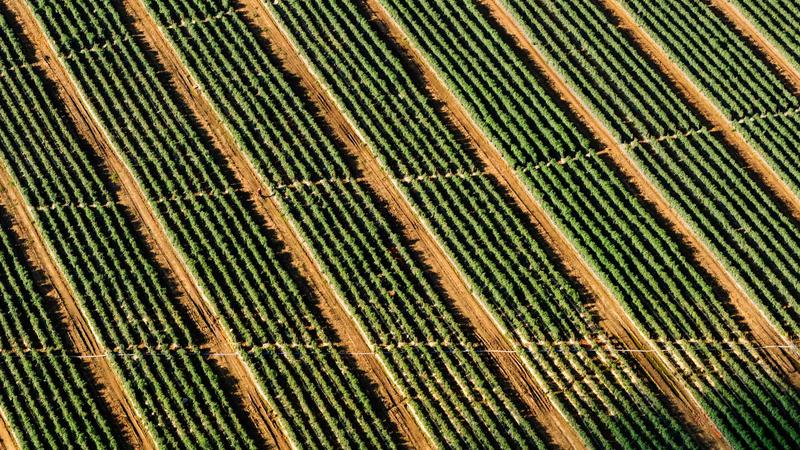 Featured image for Botclaw Net article