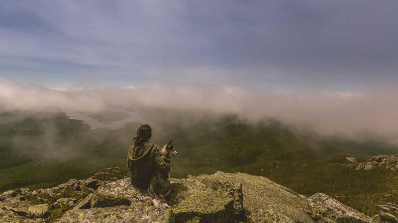 Featured image for Botclaw Net article