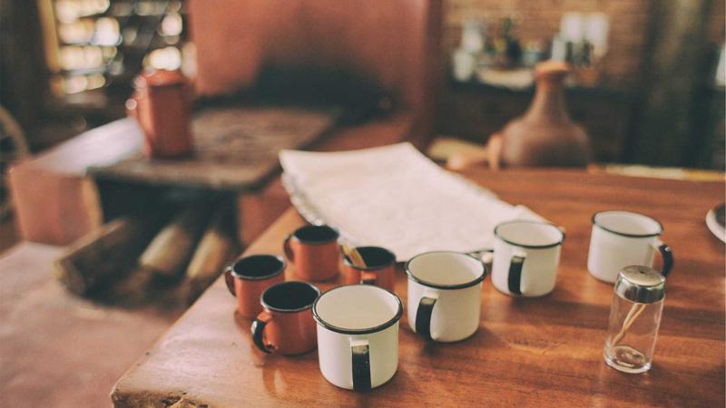 Featured image for Botclaw Net article