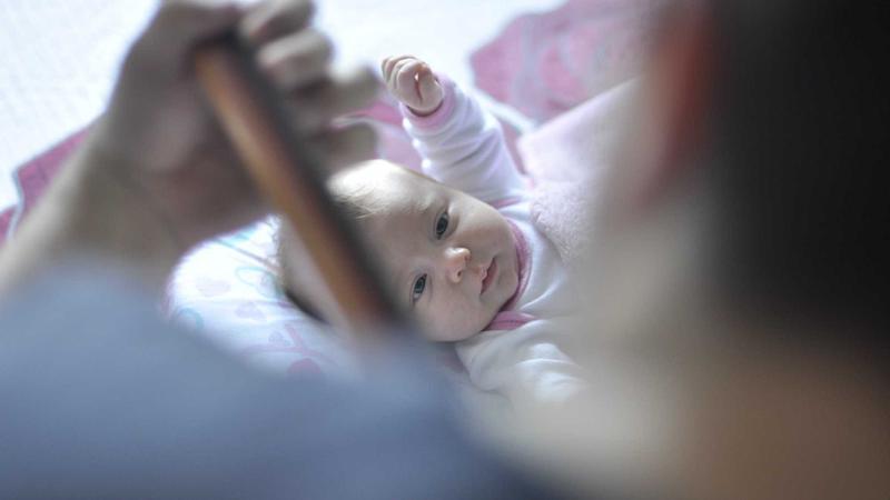 Featured image for Botclaw Net article