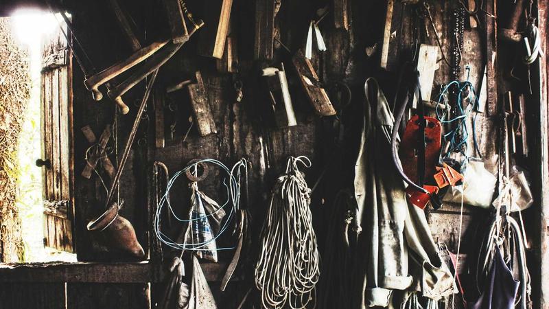 Featured image for Botclaw Net article