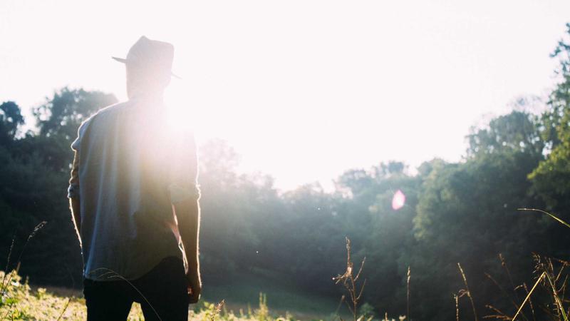 Featured image for Botclaw Net article