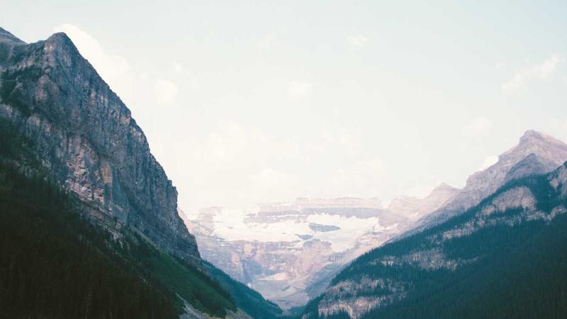 Featured image for Botclaw Net article