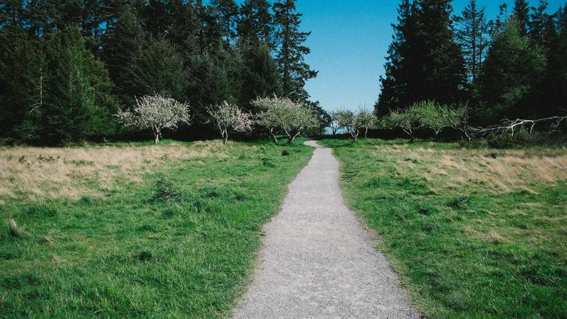 Featured image for Botclaw Net article