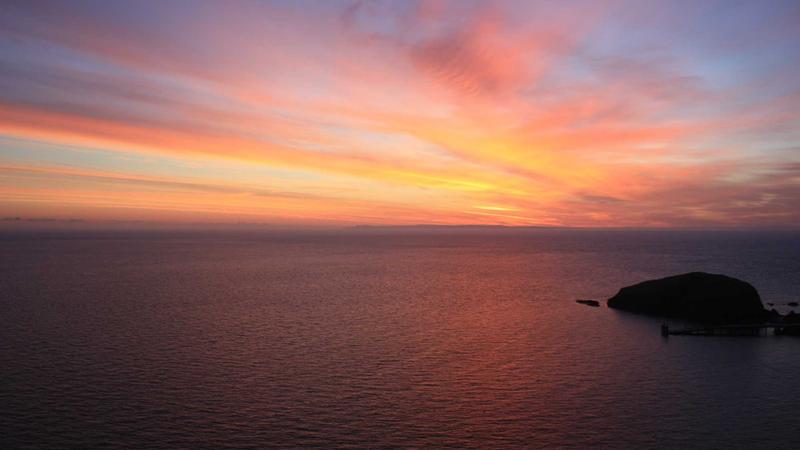 Featured image for Botclaw Net article