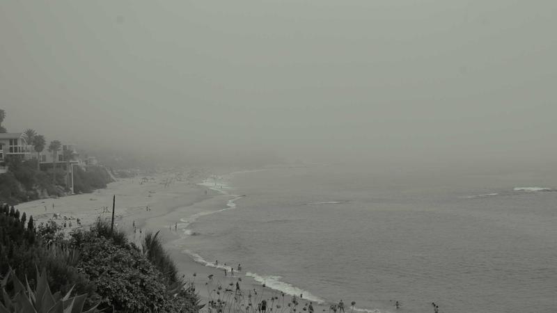 Featured image for Botclaw Net article